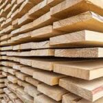 چوب خام جنگلی سفید ممتاز مناسب مبلمان و سازه‌های دکوراتیو