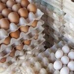 تخم مرغ خوراکی تازه – تولید روز، بسته‌بندی استاندارد