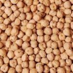 فروش نخود ممتاز گلخانه‌ای – رقم شاهد، برداشت امسال