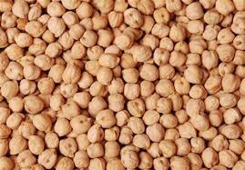 فروش نخود ممتاز گلخانه‌ای – رقم شاهد، برداشت امسال