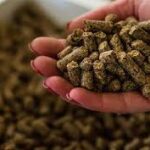 فروش غذای ماهی دانه‌ای – فرمولاسیون حرفه‌ای، مناسب پرورش صنعتی