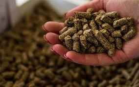 فروش غذای ماهی دانه‌ای – فرمولاسیون حرفه‌ای، مناسب پرورش صنعتی