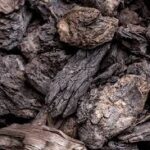 زغال‌سنگ لیگنیت صنعتی – مناسب نیروگاه و مصارف حرارتی