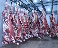 لاشه کامل گوشت گاو تازه – کشتار روز، گواهی دامپزشکی معتبر