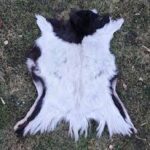 فروش پوست خام حیوانی شسته‌شده – درجه ممتاز، آماده دباغی